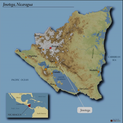 Kodiak - Jinotega, Nicaragua - Medium Roast