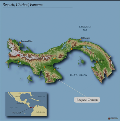 Higgins - Chiriqui - Panama - Medium-Light Roast