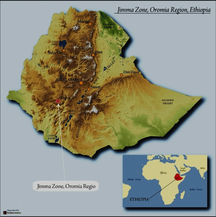 Nova - Ethiopia Limu - Medium Light Roast