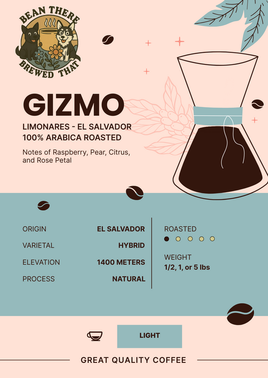 Gizmo - Limonares, El Salvador - Light Roast